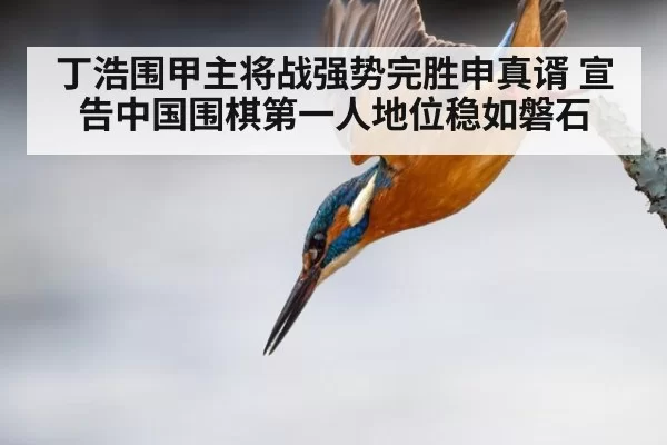 丁浩围甲主将战强势完胜申真谞 宣告中国围棋第一人地位稳如磐石